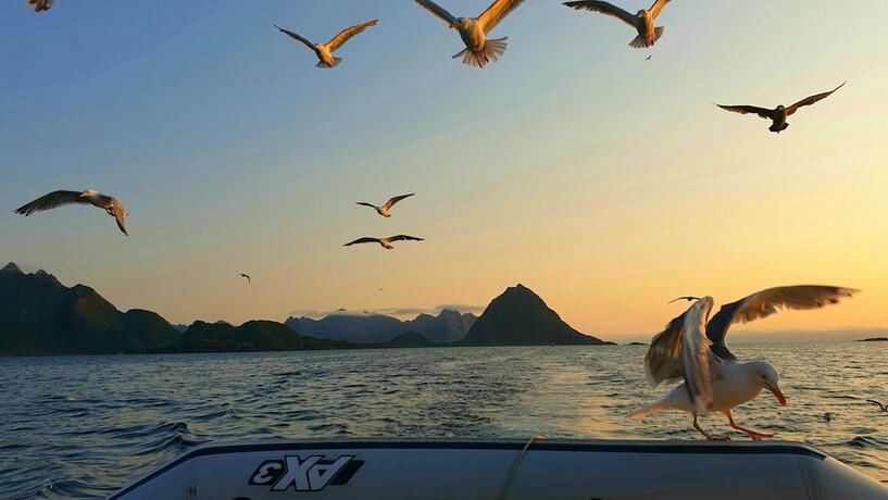 Imagen general del Hotel Myre Kysthotell. Foto 4