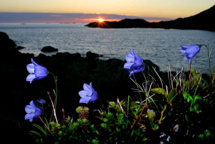 Imagen general del Hotel Myre Kysthotell. Foto 5