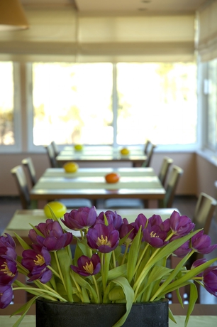 Imagen de los interiores del Hotel Myrto. Foto 18