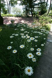 Imagen general del Hotel Mys Vidny. Foto 3