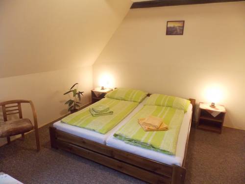 Imagen de la habitación del Hotel Myslivna. Foto 14