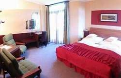 Imagen general del Hotel Myslivna. Foto 1