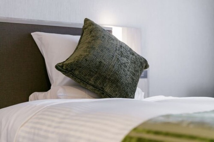 Imagen de la habitación del Hotel Mystays Kagoshima Tenmonkan. Foto 12