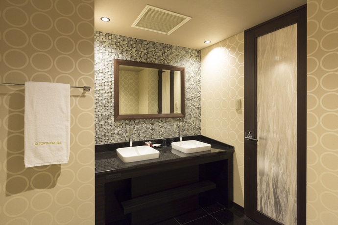 Imagen de la habitación del Hotel Mystays Premier Narita. Foto 1