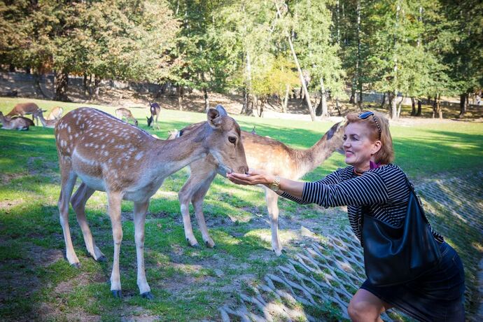 Imagen general del Hotel NAT Ustroń. Foto 11