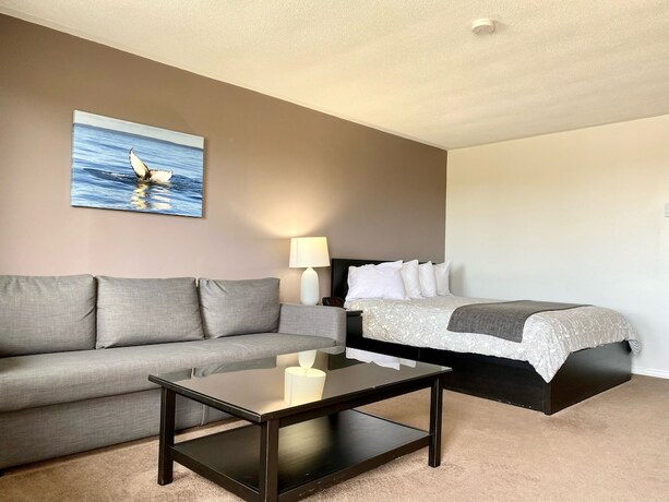 Imagen de la habitación del Hotel NEW AGE MOTEL INN. Foto 17