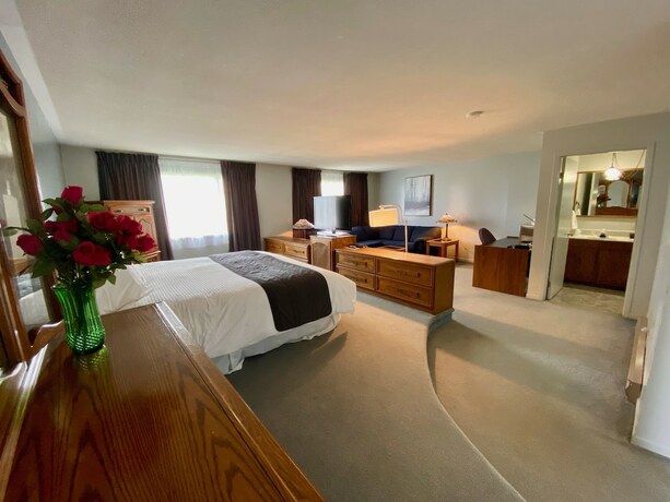 Imagen de la habitación del Hotel NEW AGE MOTEL INN. Foto 19
