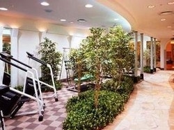 Imagen general del Hotel NEW OTANI KOBE HARBORLAND. Foto 5