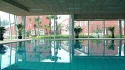 Imagen de la piscina del Hotel NEW PHOENIX TOWN. Foto 7