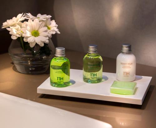 Imagen de la habitación del Hotel NH Andorra la Vella. Foto 5