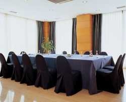 Imagen de los interiores del Hotel NH Prisma. Foto 9