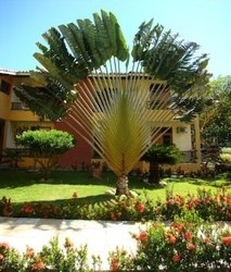 Imagen de la piscina del Hotel NOBILE PORTO FIRME. Foto 10