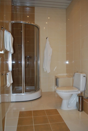 Imagen de la habitación del Hotel Na Dvoryanskoy. Foto 9