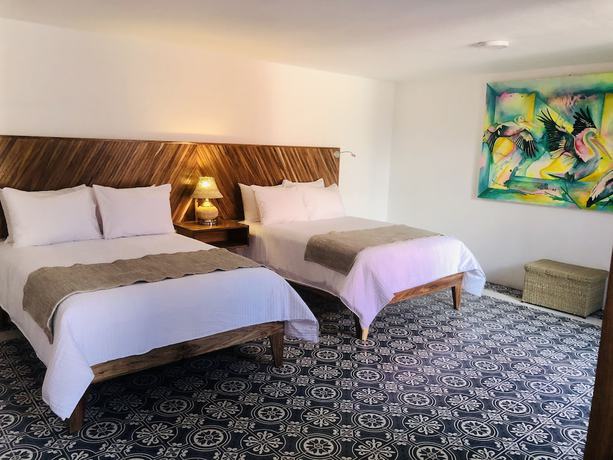 Imagen de la habitación del Hotel NaNa Vida Morelia. Foto 17