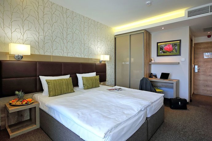 Imagen de la habitación del Hotel N&aacute;das T&oacute; Park. Foto 16