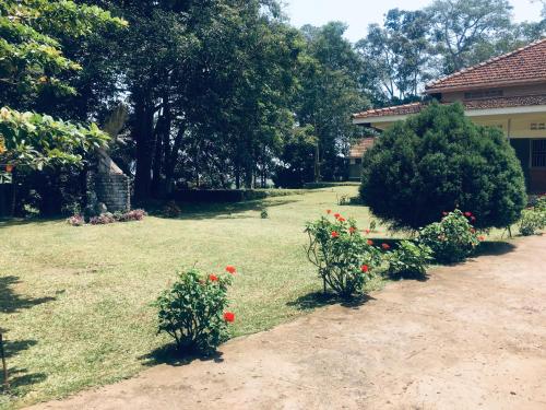 Imagen de la habitación del Hotel Nabinoonya Resort Beach. Foto 19