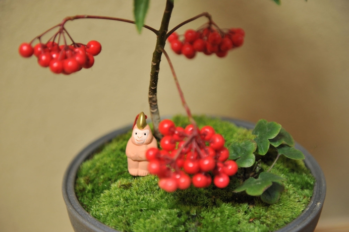 Imagen de la habitación del Hotel Nadeshiko Shirakawa. Foto 5