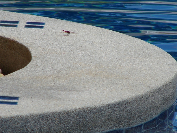 Imagen de la piscina del Hotel Nadivana Serviced Apartments. Foto 16