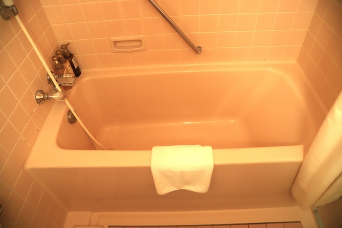 Imagen de la habitación del Hotel Naeba Prince. Foto 10
