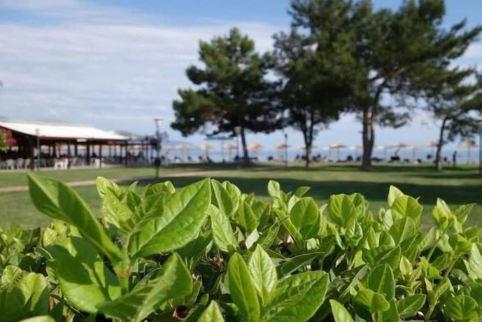 Imagen general del Hotel Nafsika Beach. Foto 1