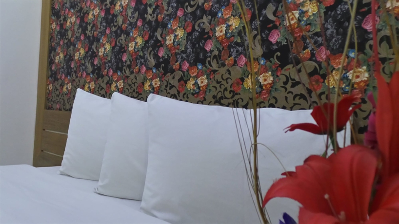 Imagen general del Hotel Nagar Valley. Foto 2