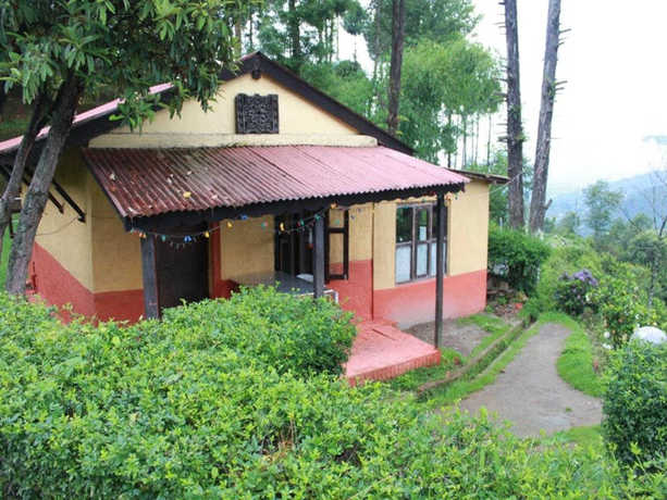 Imagen general del Hotel Nagarkot Cottage. Foto 4