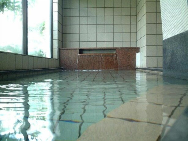 Imagen de la piscina del Hotel Nagasaki Ihokan. Foto 19
