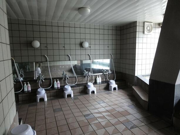 Imagen de la piscina del Hotel Nagasaki Ihokan. Foto 20