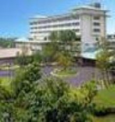 Imagen general del Hotel Nagashima. Foto 1