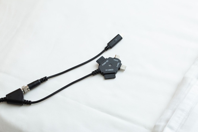 Imagen de la habitación del Hotel Nagoya Garden Palace. Foto 4