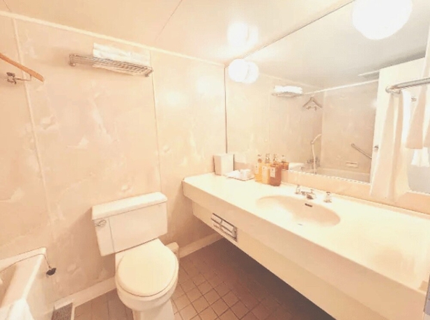 Imagen de la habitación del Hotel Nagoya Premium. Foto 8