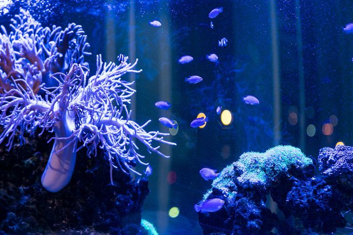 Imagen de los interiores del Hotel Naha Tokyu Rei. Foto 14