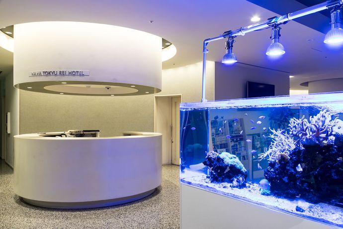 Imagen de los interiores del Hotel Naha Tokyu Rei. Foto 15