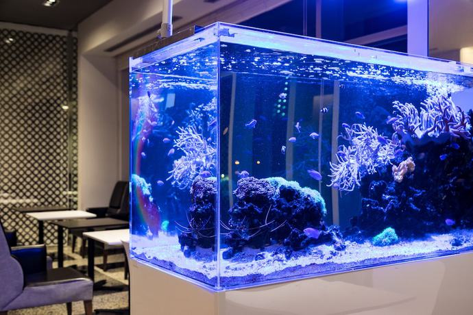 Imagen de los interiores del Hotel Naha Tokyu Rei. Foto 16