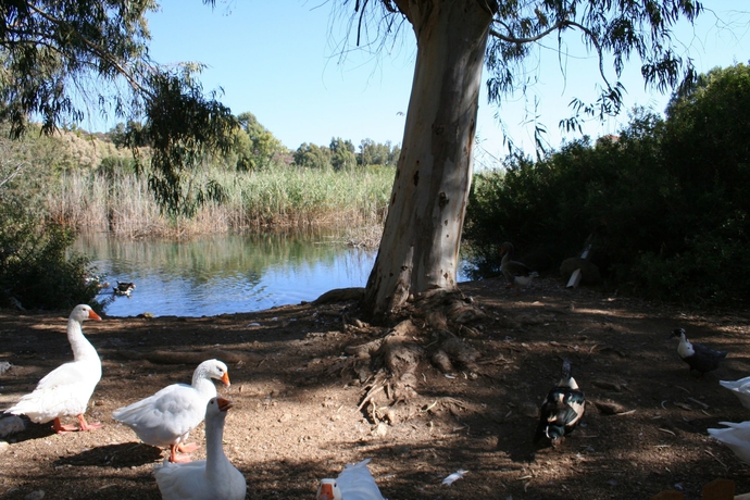 Imagen de los exteriores del Hotel Naiades Almiros River. Foto 9