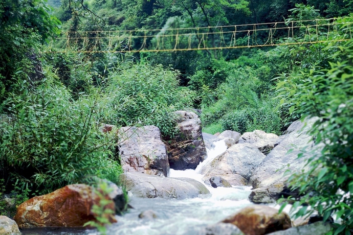 Imagen general del Hotel Nainital River Camp. Foto 2