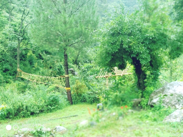Imagen general del Hotel Nainital River Camp. Foto 3