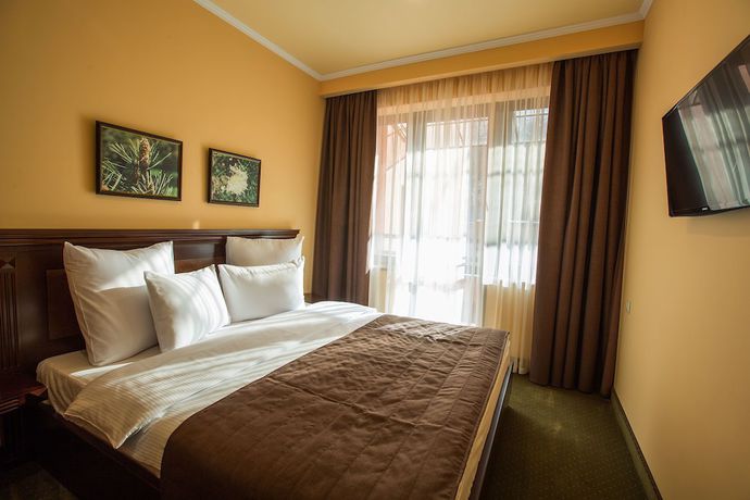 Imagen de la habitación del Hotel Nairi SPA Resorts. Foto 10