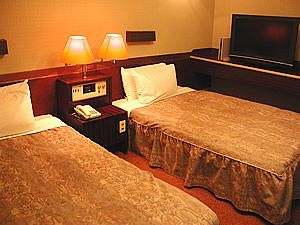 Imagen de la habitación del Hotel Nakamachi Fuji Grand Hotel. Foto 3