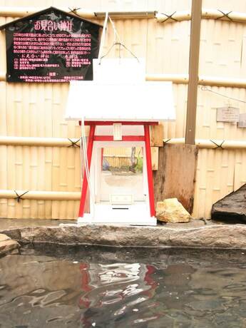 Imagen general del Hotel Nakaoyama Onsen Shosenkaku. Foto 3