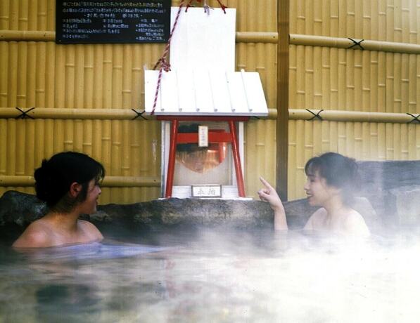 Imagen general del Hotel Nakaoyama Onsen Shosenkaku. Foto 15
