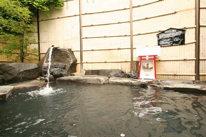 Imagen general del Hotel Nakaoyama Onsen Shosenkaku. Foto 2