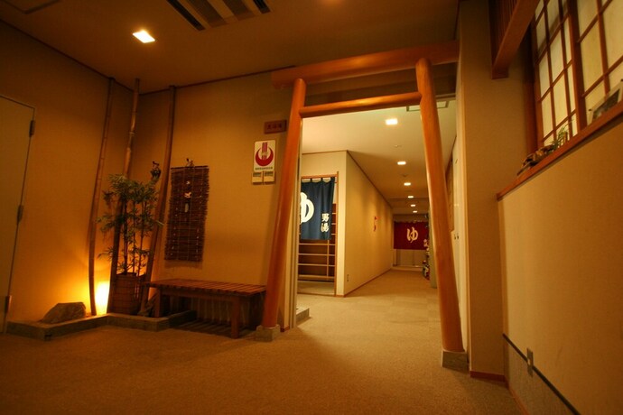 Imagen de los interiores del Hotel Nakaoyama Onsen Shosenkaku. Foto 34