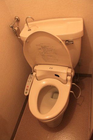 Imagen de la habitación del Hotel Nakatono. Foto 16