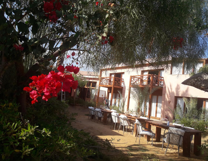 Imagen general del Hotel Nakhil Inn And Dream. Foto 12
