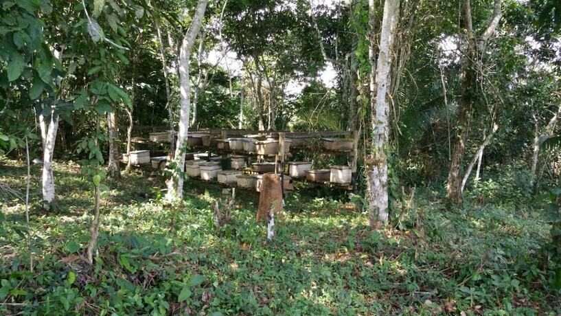 Imagen general del Hotel Nakoosi Eco Lodge and Backpackers. Foto 8