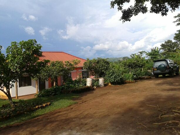 Imagen general del Hotel Nakoosi Eco Lodge and Backpackers. Foto 11