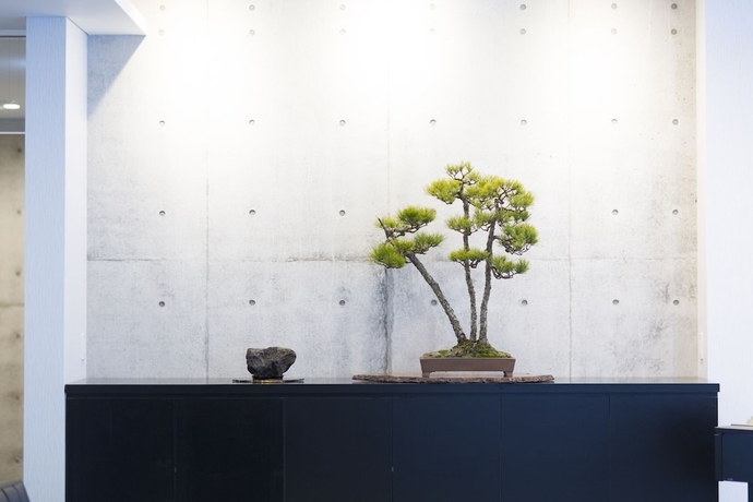 Imagen de los interiores del Hotel Namari Onsen Kokoronotoki Jusangatsu. Foto 14