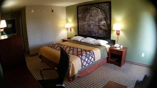 Imagen de la habitación del Hotel Namaste Inn and Suites Dawsonville. Foto 5