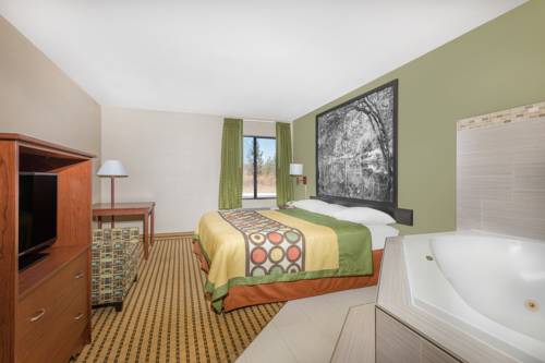 Imagen de la habitación del Hotel Namaste Inn and Suites Dawsonville. Foto 7